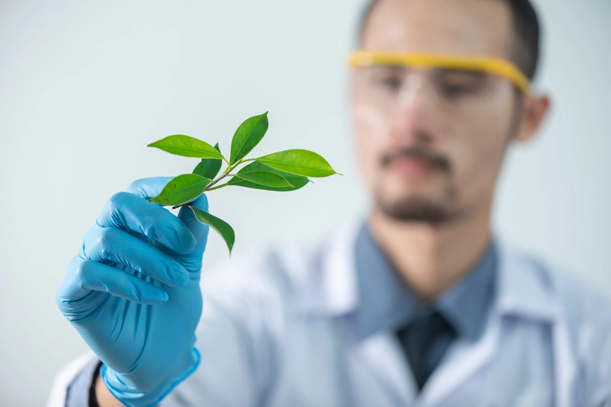 Man scientist inspecting a plant