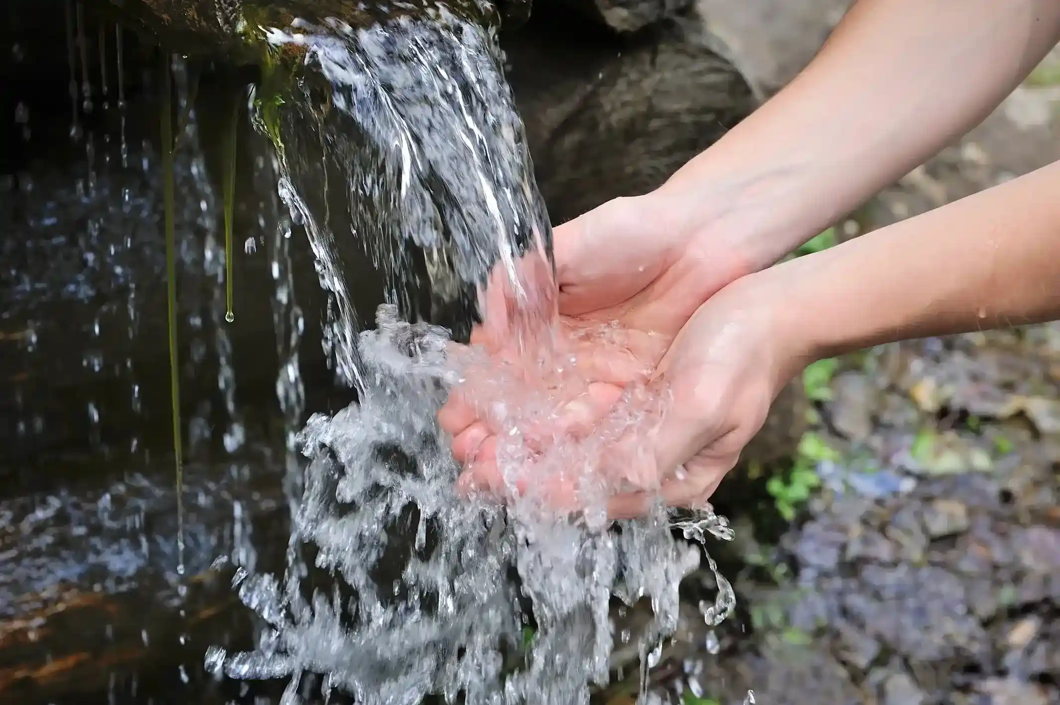 drinking water and natural water in the hands